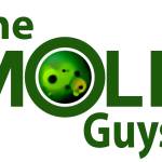 The Mold Guys Profile Picture