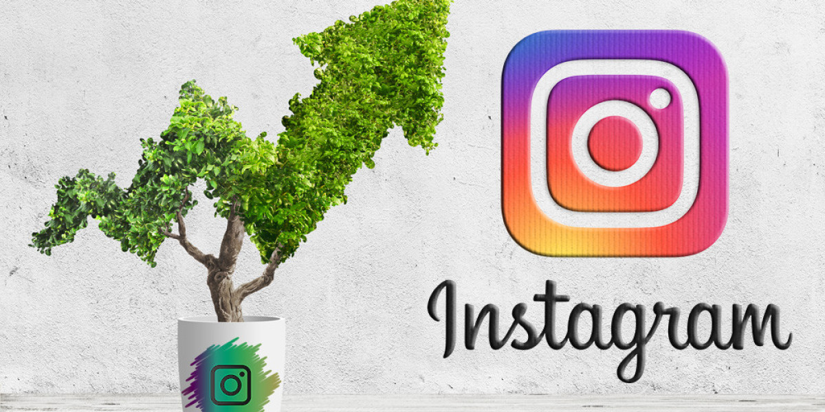 The Insider Secret on Proflup Instagram Growth Uncovered