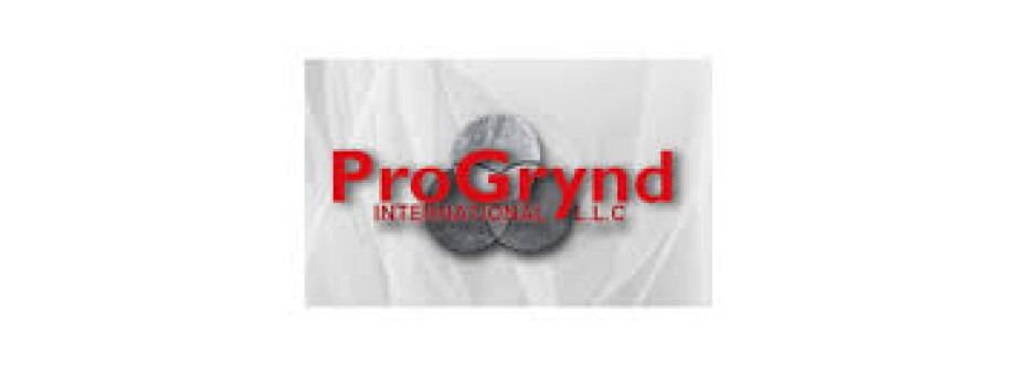 Progrynd LLC Cover Image