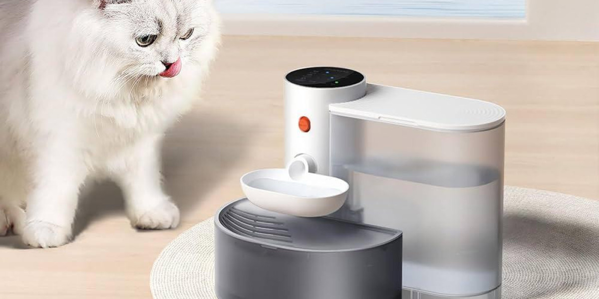 Can Pawtechpet Cat Water Fountain Improve Comfort