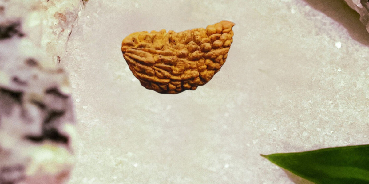 What Determines the Original 1 Mukhi Rudraksha Price in Market