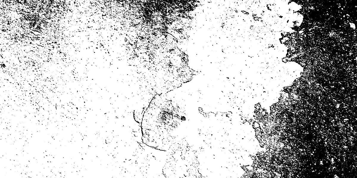 Luxurious within the Sky: The Rise of Private Flights For Dogs