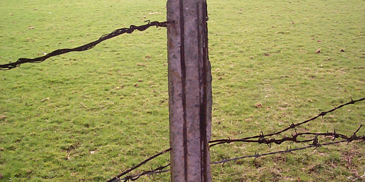 Luxury Table Games, Fine Dining & VIP Rewards