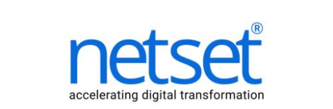 Netset Software Cover Image