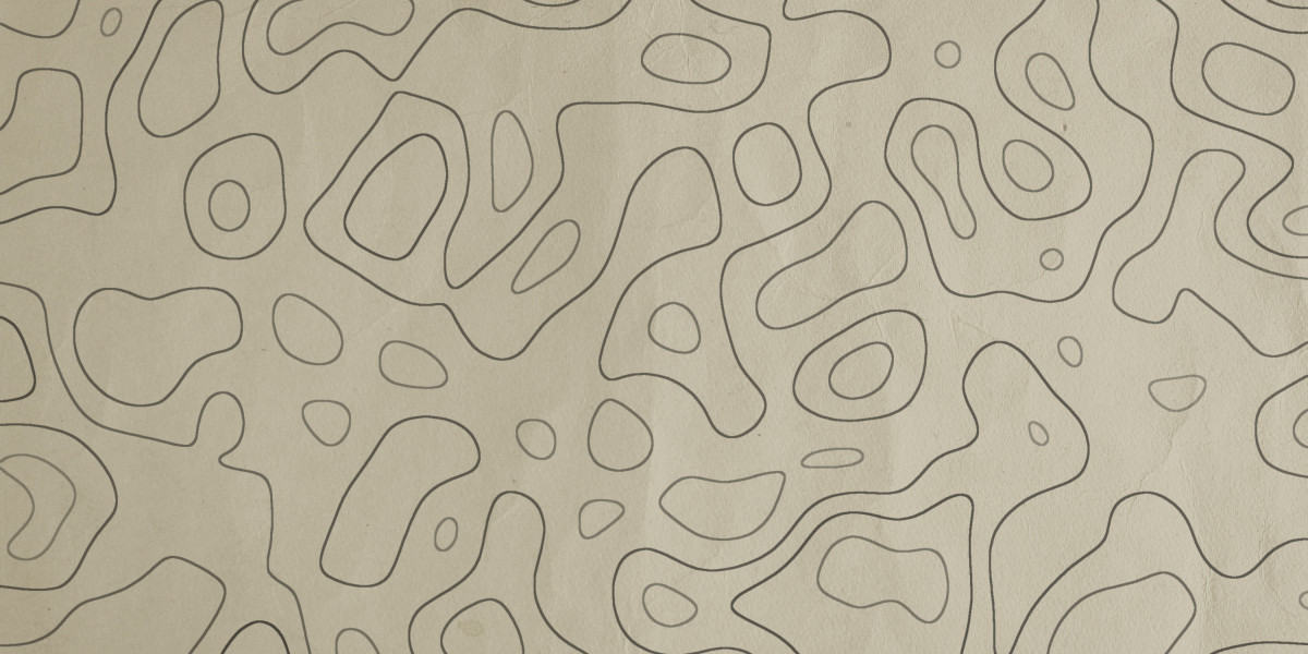 Exploring Loans With out Credit Checks: A Case Research