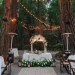 mars 233 Profile Picture