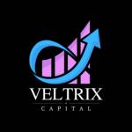 Veltrix Capital Profile Picture