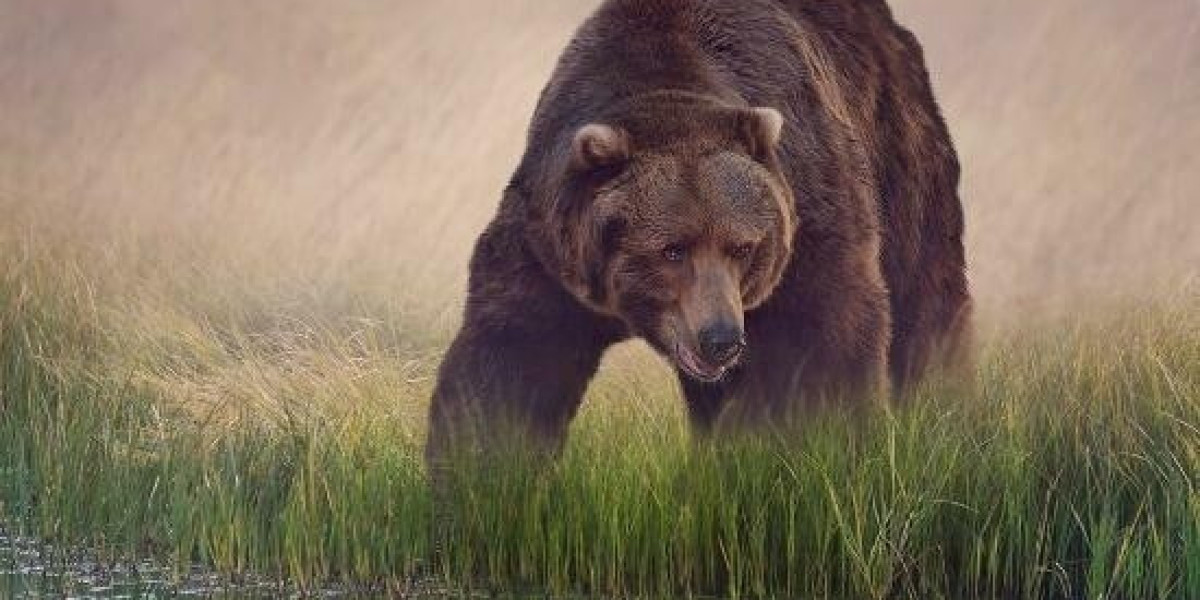 Commercial Property Technology: new Trends And Top Companies