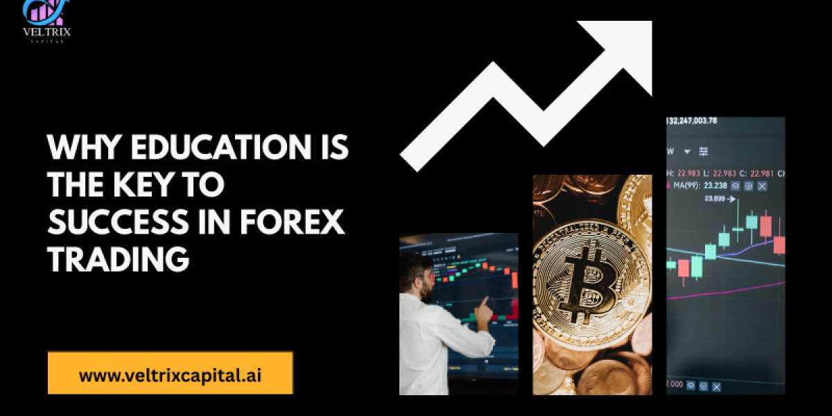 Why Education Is the Key to Success in Forex Trading