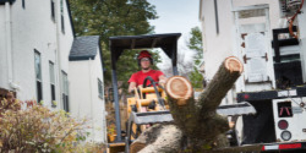 Yard Debris Removal Services | Fast & Affordable Cleanup
