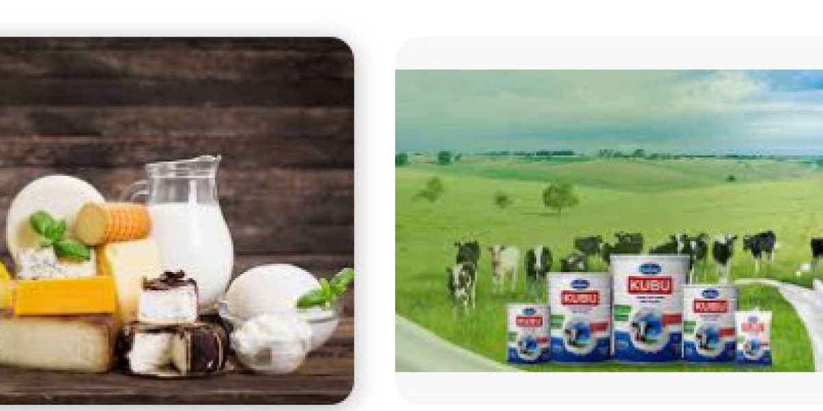 Dairy Products Supplier: Freshness, Quality, and Reliability