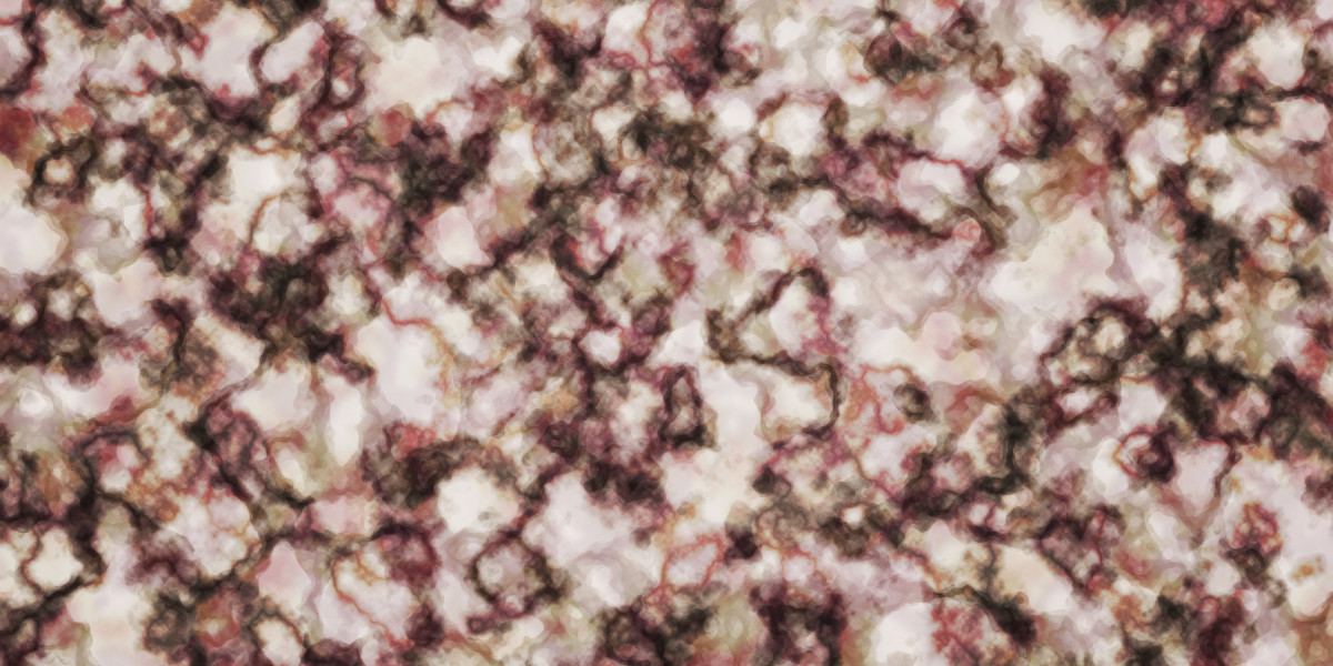 The Rise of Private Jet Charter Services: A Comprehensive Case Study