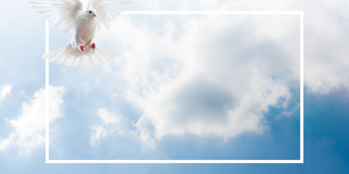 Investing in Stability: The Vanguard Precious Metals IRA