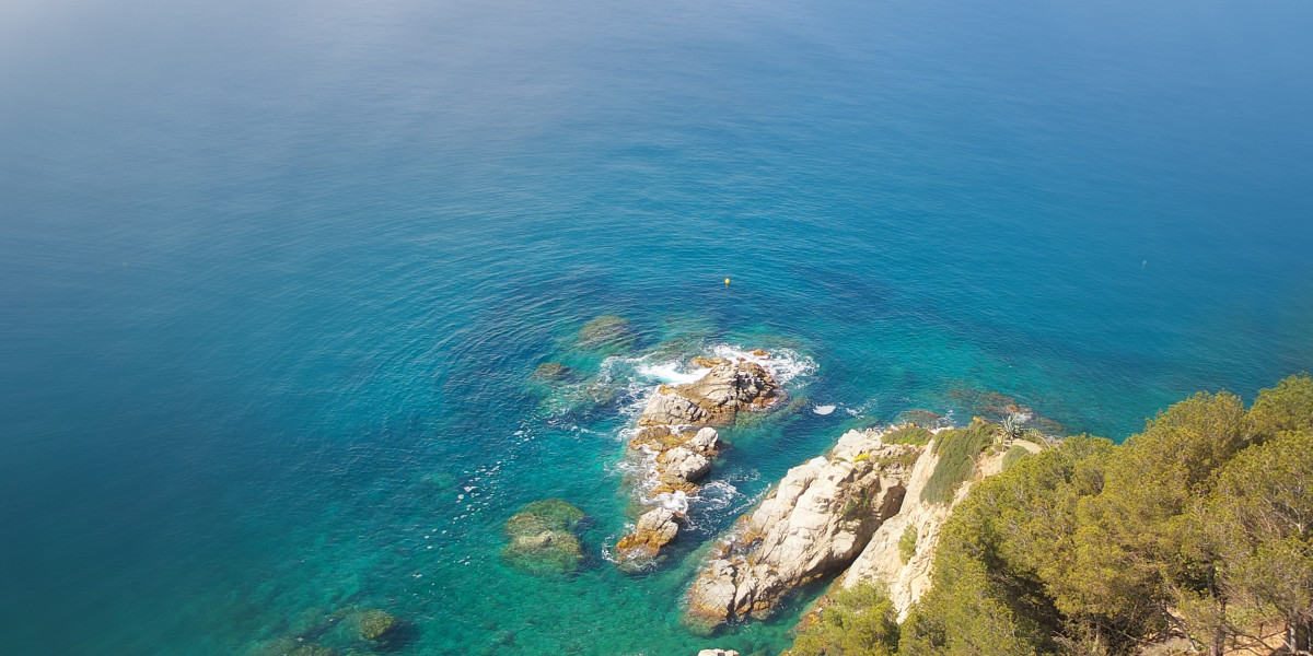 Understanding Modafinil Orders in the EU: A Comprehensive Guide