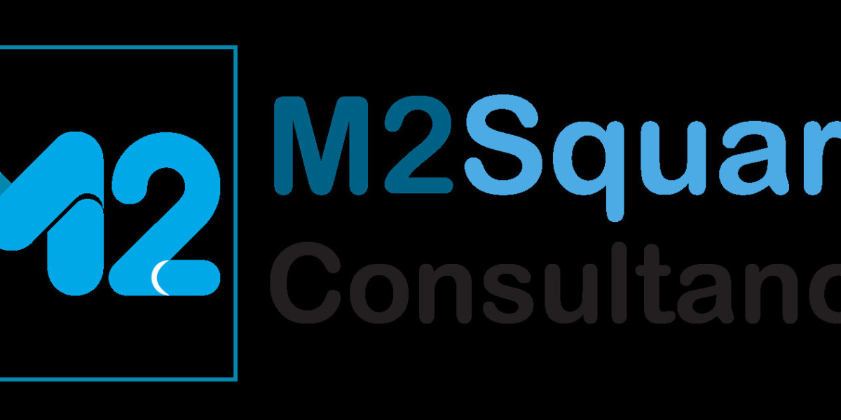 Vitamin Tonics Market Outlook 2025–2033: Growth Drivers, Trends, and Forecast