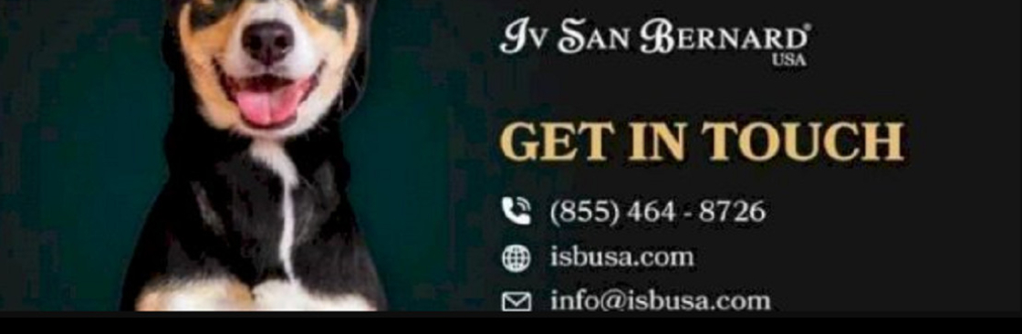Iv San Bernard USA Cover Image