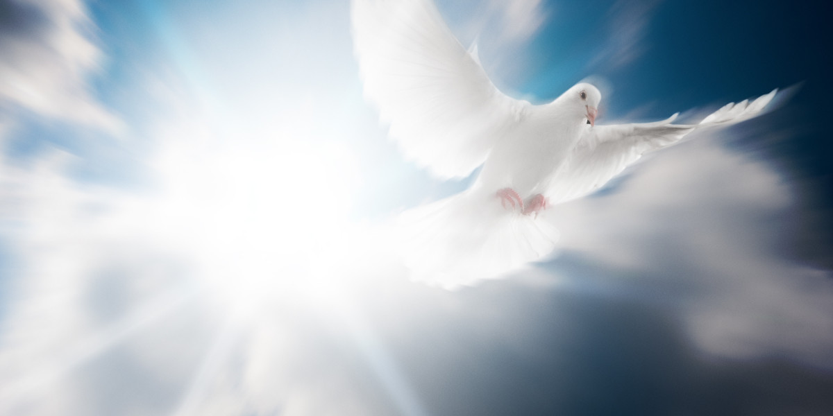 Comprehensive Study on Private Jet Operators: Industry Overview, Trends, and Future Prospects