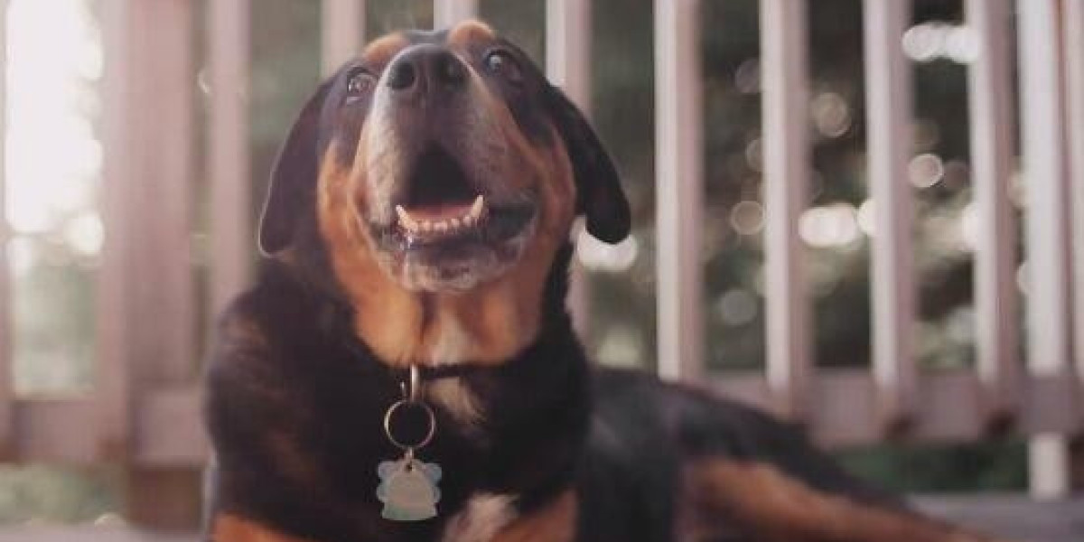 Five Super Eagles Stars Eager to Shine Against Ghana and Mali