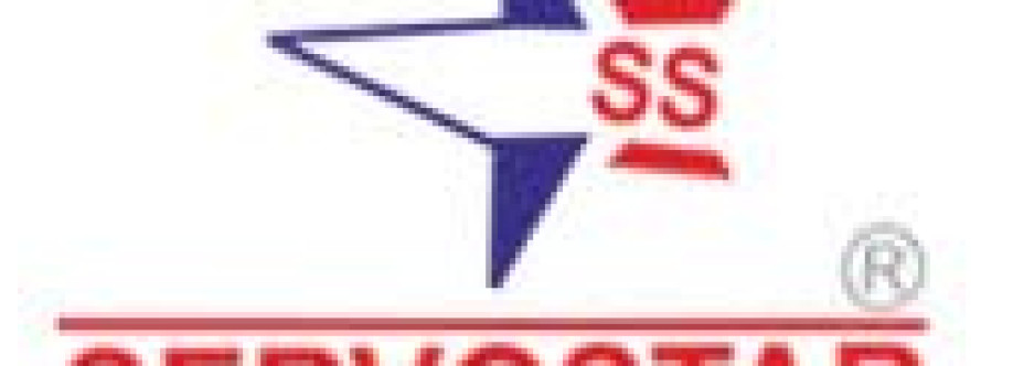 servo stabilizer Cover Image