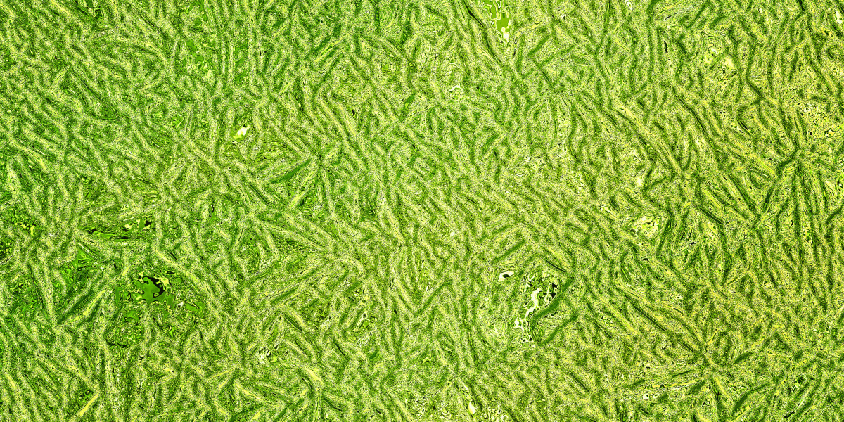 The Case for Physical Gold in a Roth IRA: A Comprehensive Study