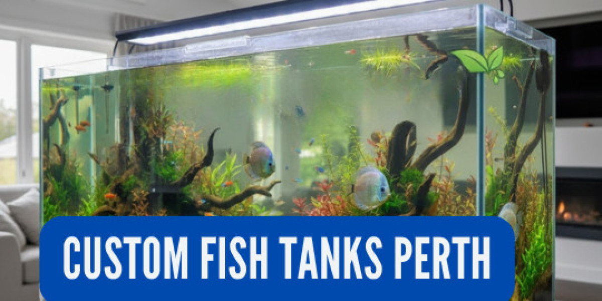 Custom Fish Tanks Perth: Designing Aquariums That Fit Your Space and Lifestyle