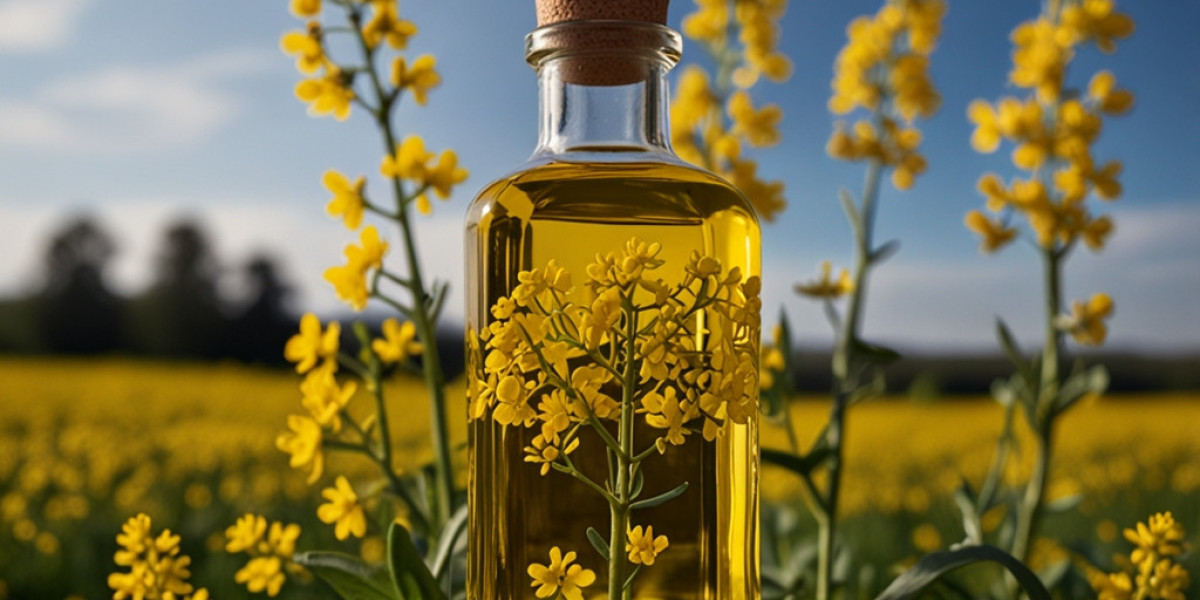 Rapeseed Oil Price Chart, Index, Trend and Quarterly Forecast