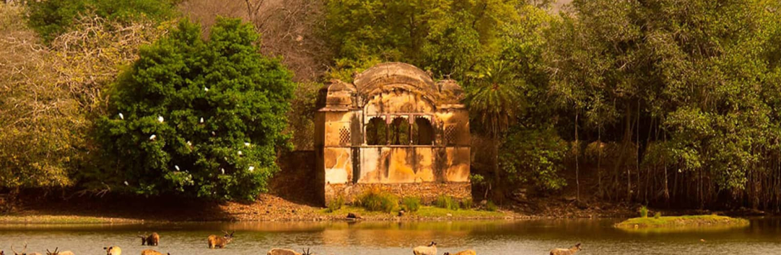 Ranthambhore National Park Cover Image