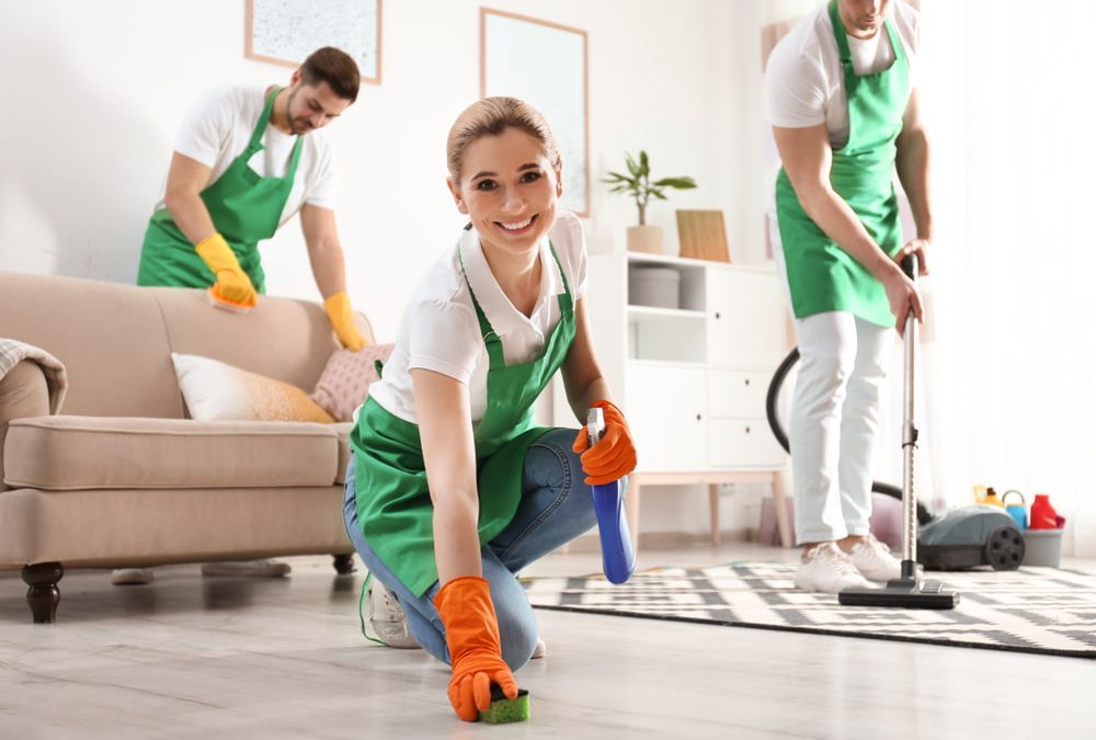 Trusted Professional Cleaning for a Fresh and Healthy Home - Baddiehub