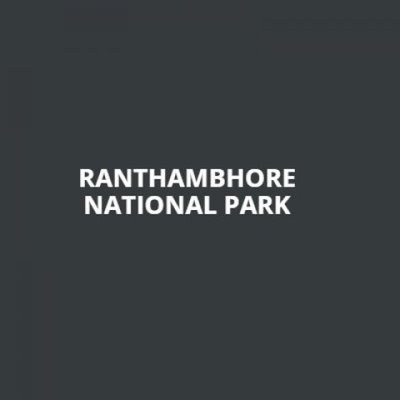 Ranthambhore National Park Profile Picture