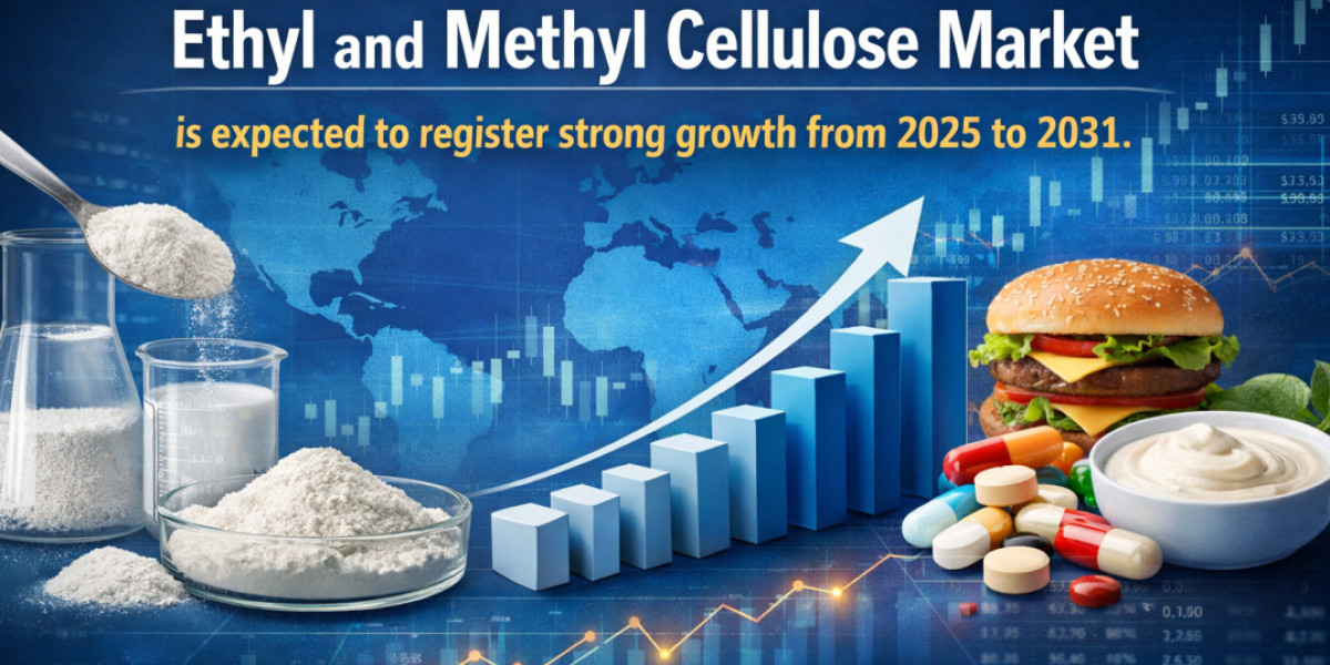 North America Ethyl and Methyl Cellulose Market Share and Regional Outlook 2025–2031