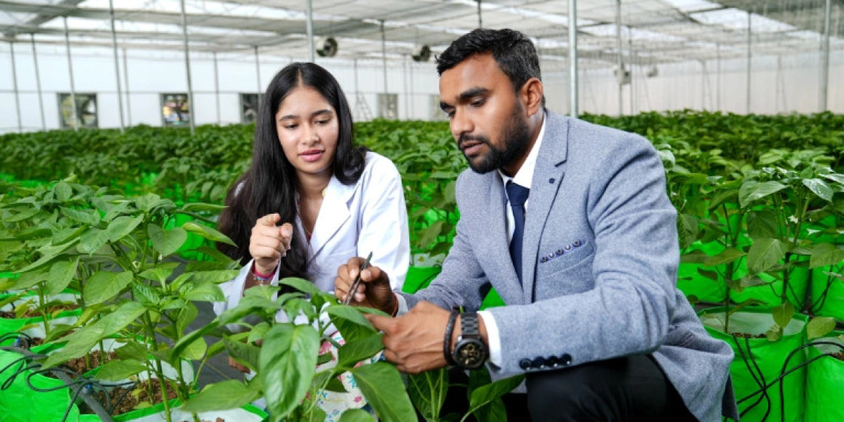 Exploring the importance of the BSc Agriculture degree