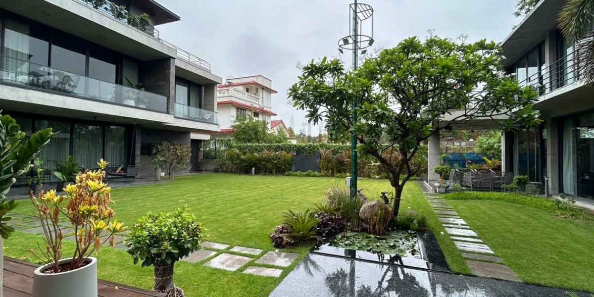 Home Garden Designer in Ahmedabad – Beyondleaf’s Passion for Living Landscapes