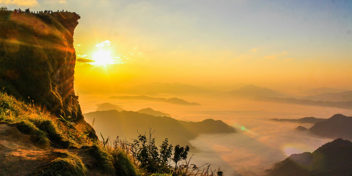 eznpc What Makes the Season 12 Throwing Thorns Paladin So Good