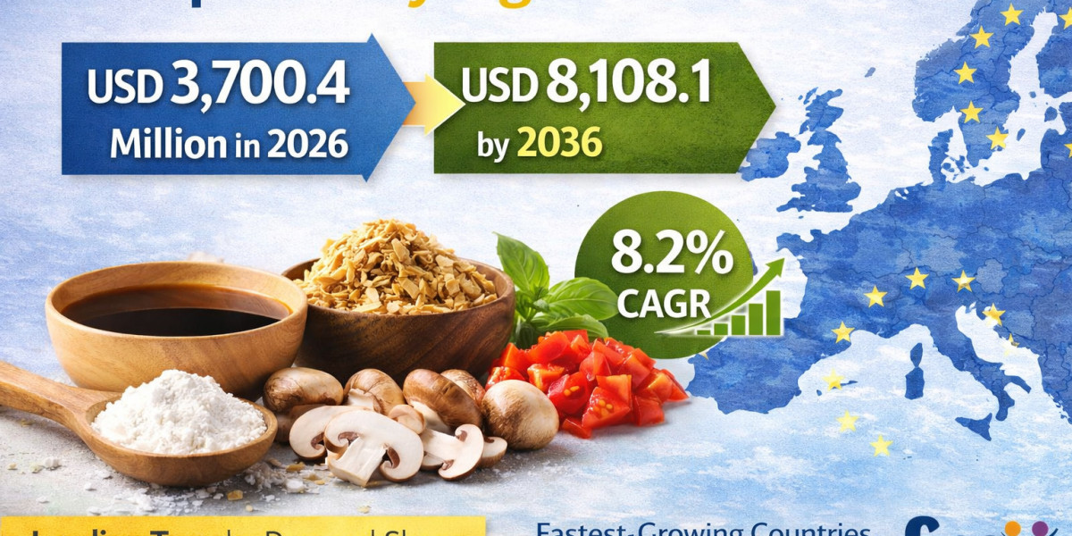 Europe Savory Ingredients Market to Witness Strong Expansion by 2036