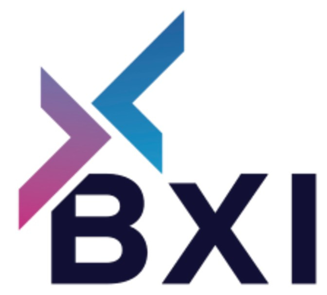 bxi_world Profile Picture