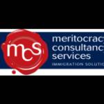 Meritocracy Services Profile Picture