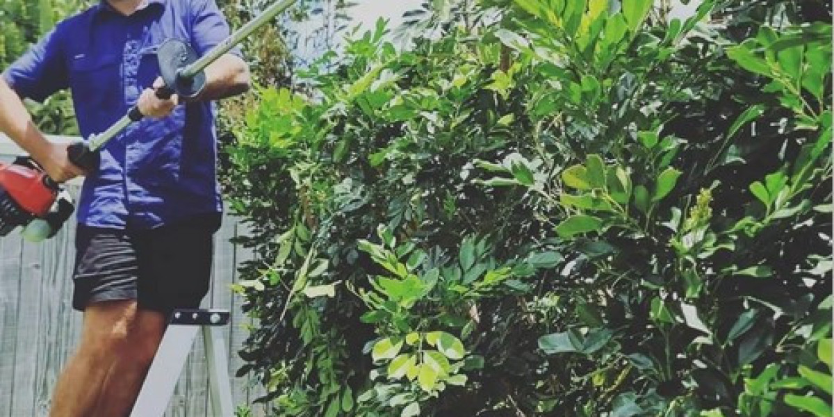 Professional Lawn Mowing Kingsford Services for a Perfect Garden