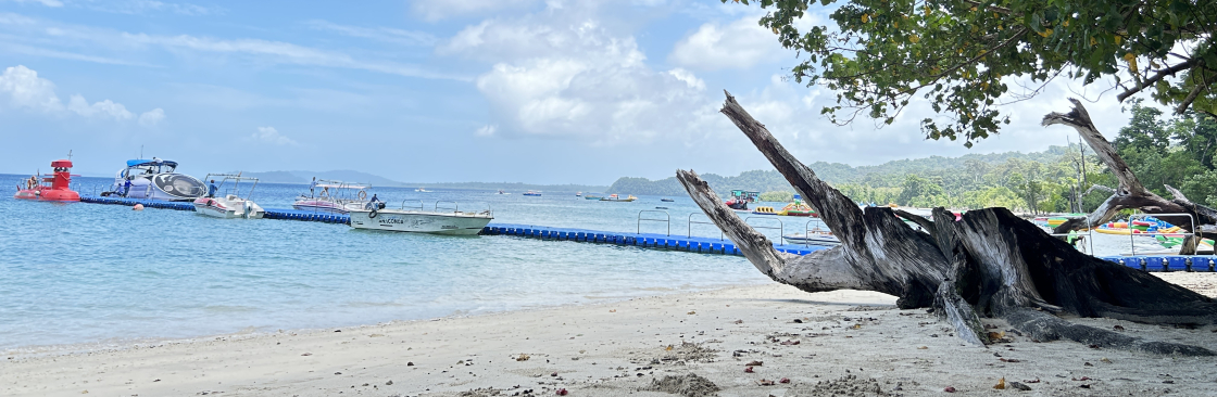 Go Andaman Holidays Cover Image