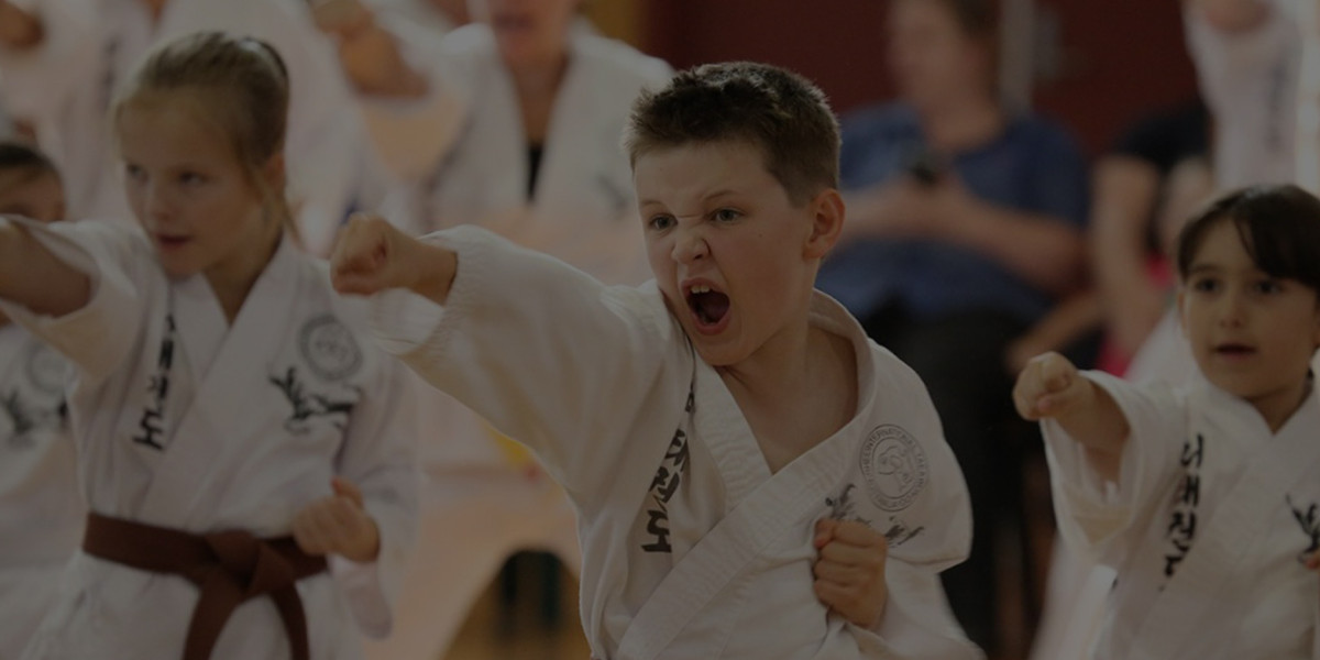 Taekwondo Riverwood – Professional Martial Arts Training for Kids and Adults
