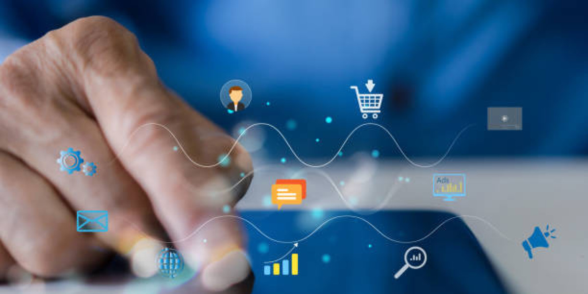 Bellingham web designers