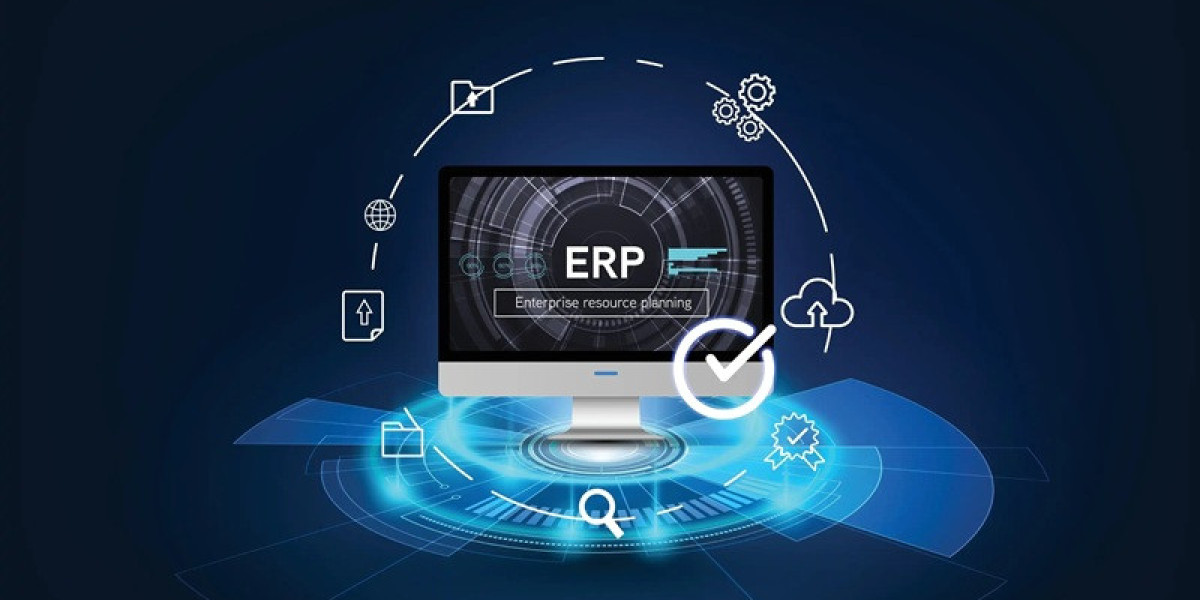 Enterprise Resource Planning Software: A Beginner’s Guide