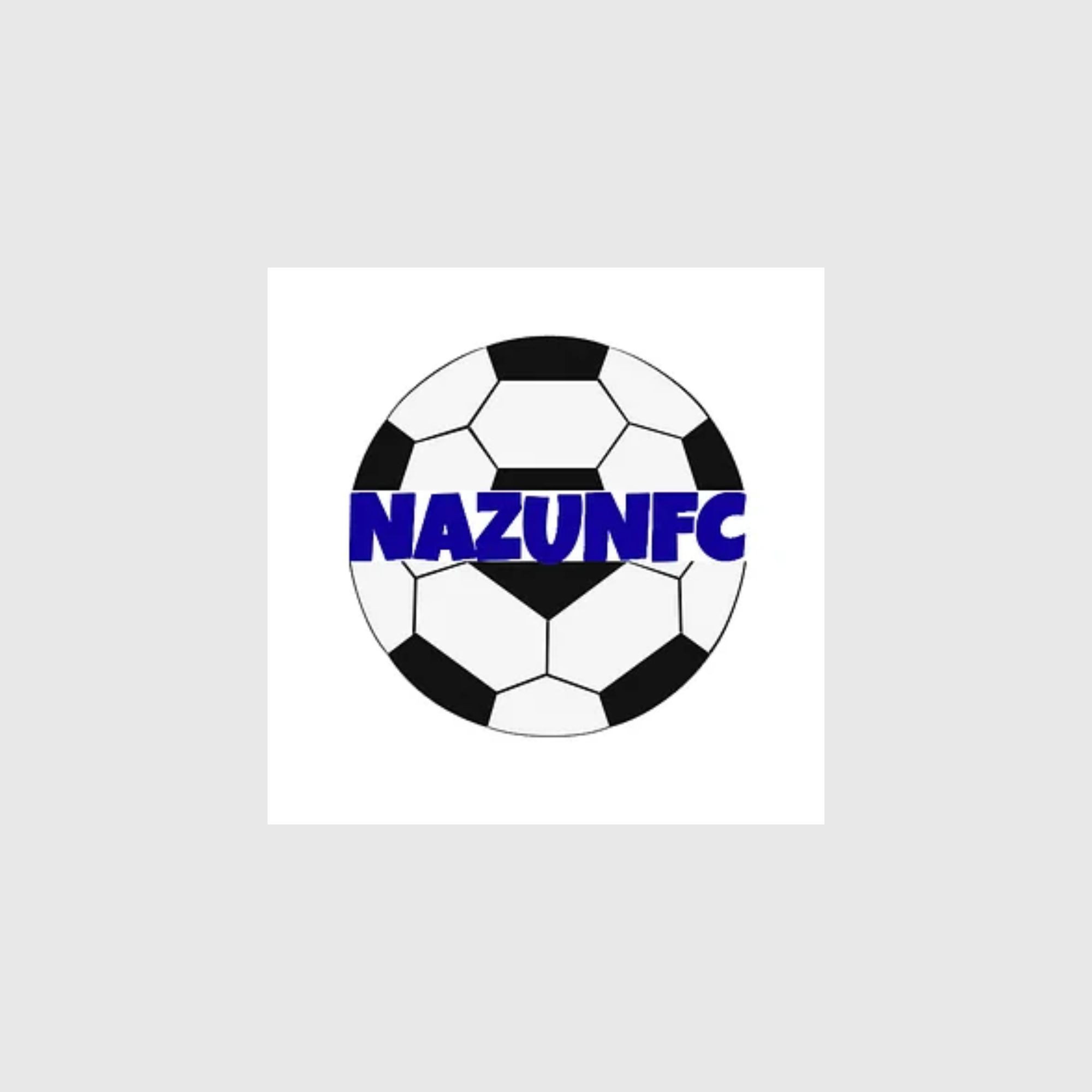 Nazun fc Profile Picture