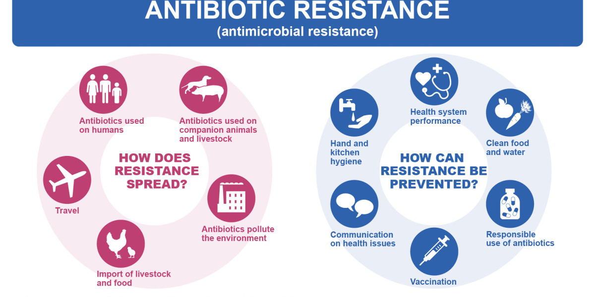 Antibiotic Resistance in Nigeria Impact on Healthcare Outcomes