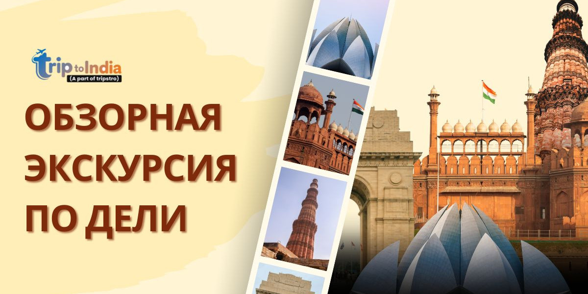 Обзорная экскурсия по Дели: топ-местa, маршрут и советы для туристов