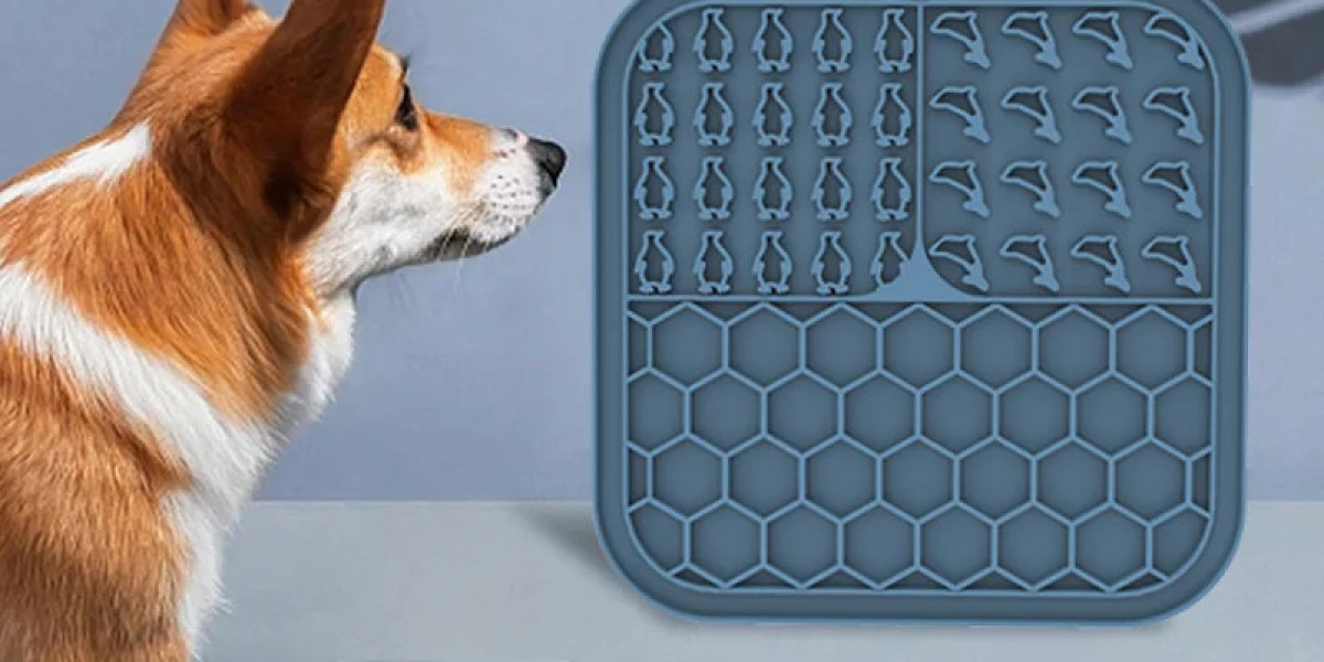 From Feeding to Grooming: How Silicone Pets Accessories Improve Daily Pet Life