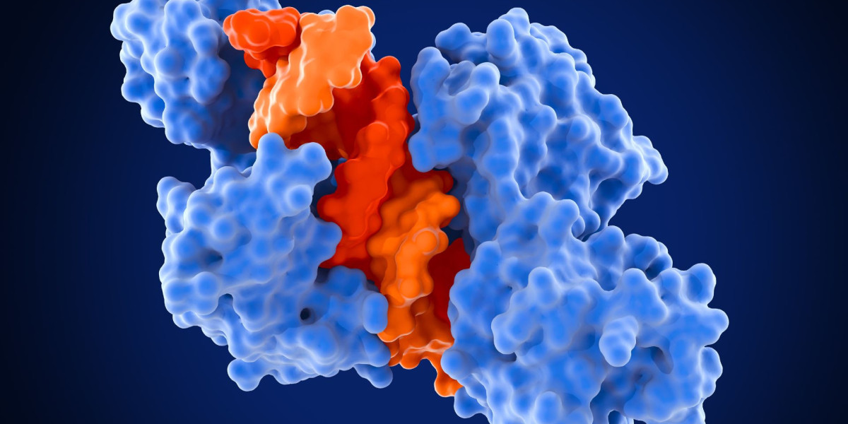 Global Food Enzymes Market to Hit $6.02B by 2034 with 5.27% CAGR