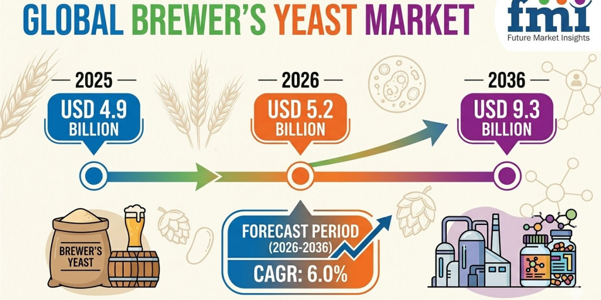 Brewer’s Yeast Market to Reach USD 9.3 Billion by 2036 as Demand for Functional Proteins and Feed Supplements Accelerate