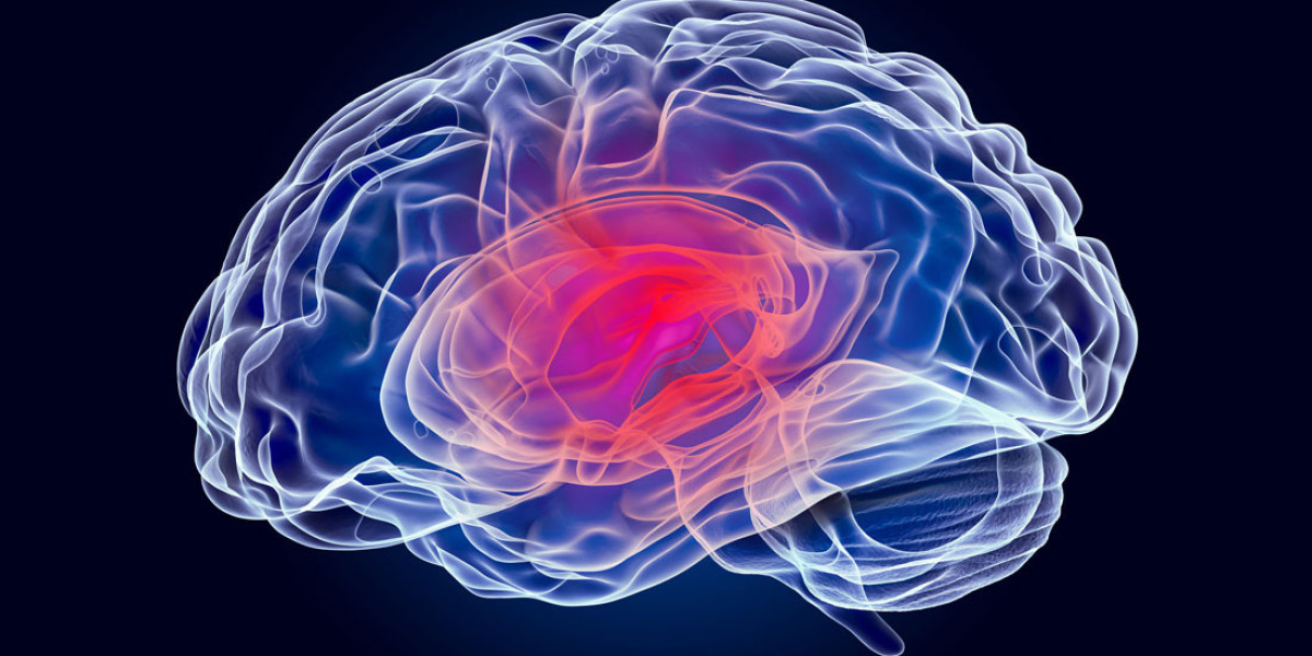 NeuroMD+ Capsules Canada – Complete Review, Benefits, Ingredients & How It Works