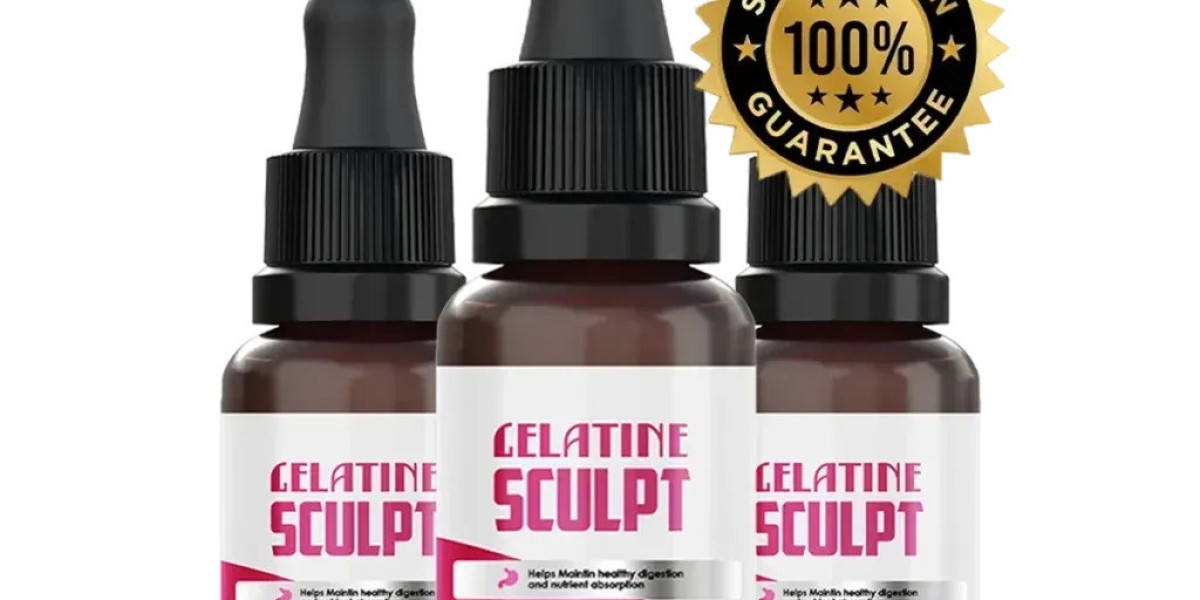 Gelatine Sculpt EN Site Overview: Design, Structure and Key Features