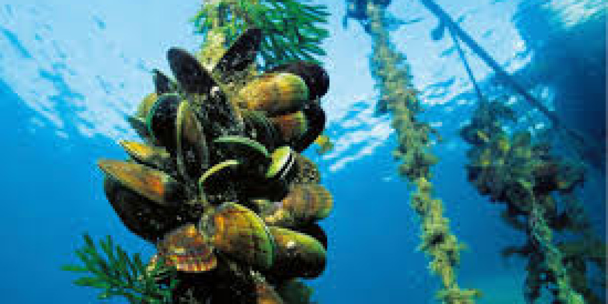 Rising Demand for Shellfish Spurs Adoption of Eco-Friendly Farming Solutions